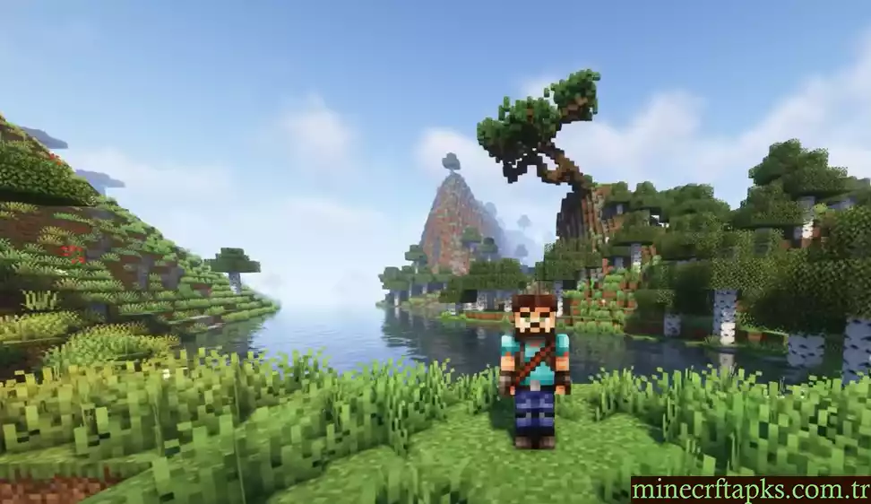 Minecraft Doku Paketleri